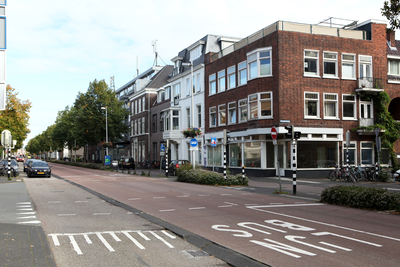 916014 Gezicht op de panden Biltstraat 115 -hoger te Utrecht, met rechts de hoek met de Sweelinckstraat.